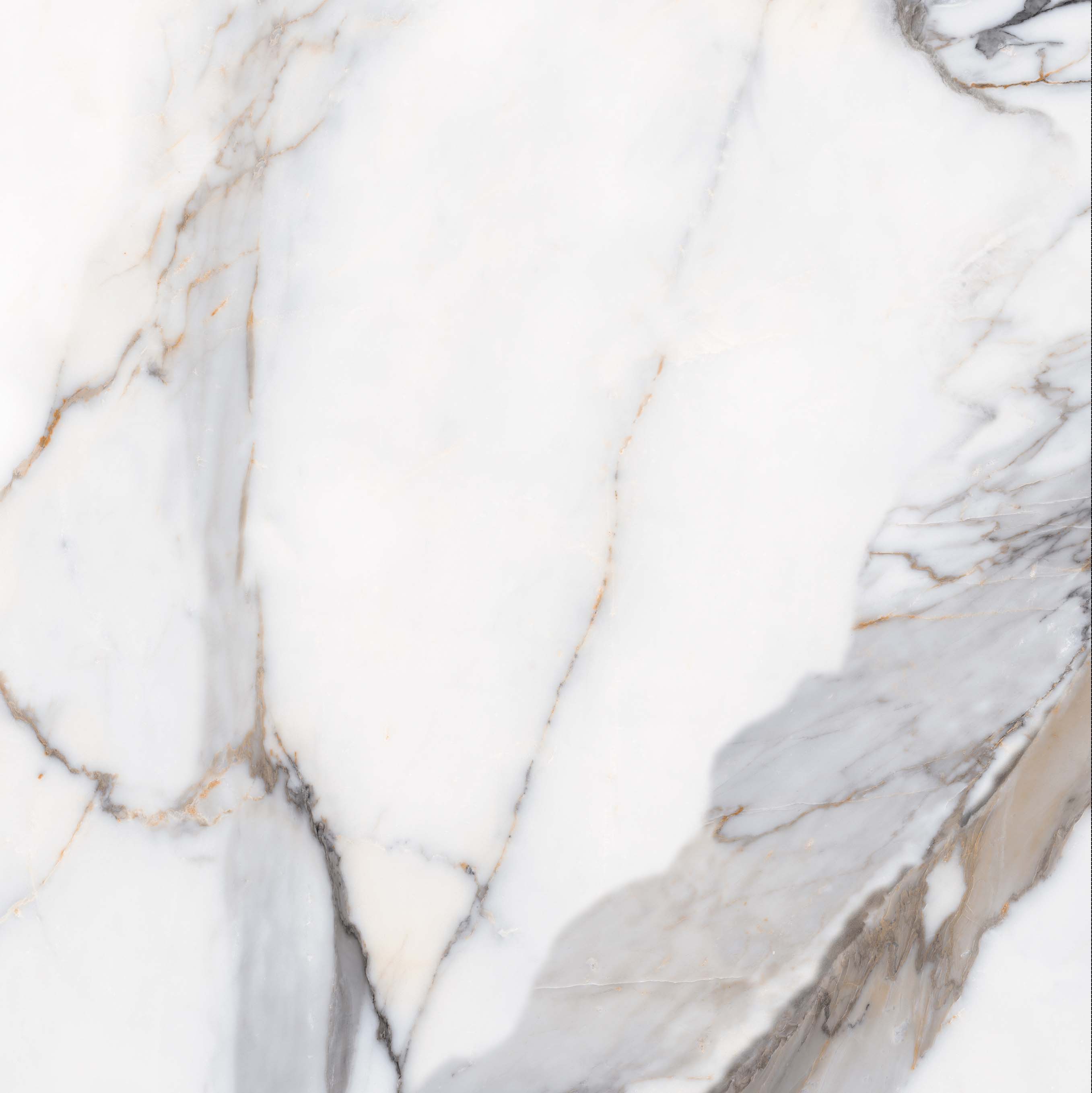 Calacatta Gold